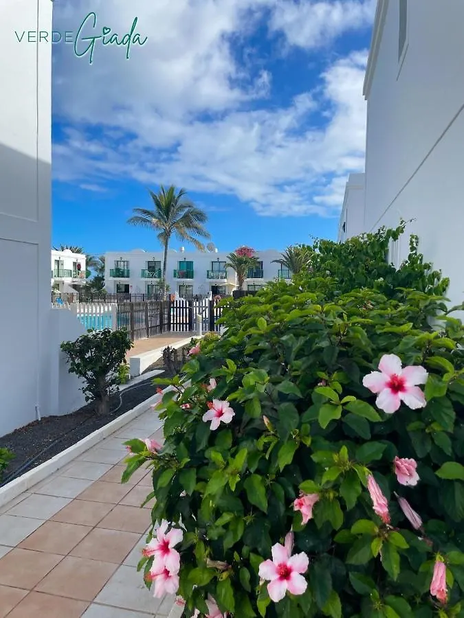 San Valentin Green Jade By Rentalfue Corralejo Apartamento